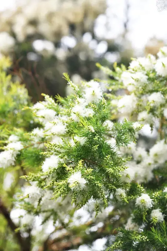 【台中旅遊推薦】探索原味之旅－雙崎部落，台中原民體驗，原流新