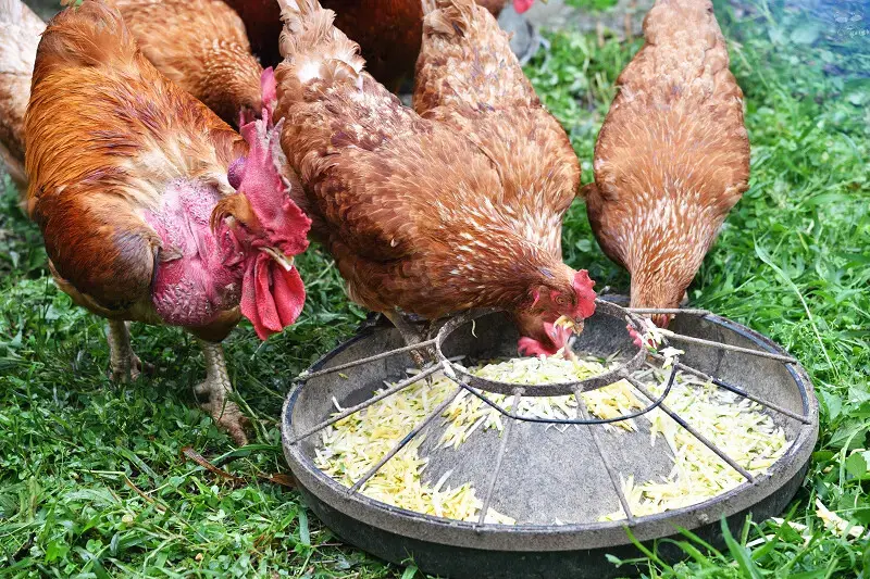 【台中旅遊推薦】探索原味之旅－雙崎部落，台中原民體驗，原流新