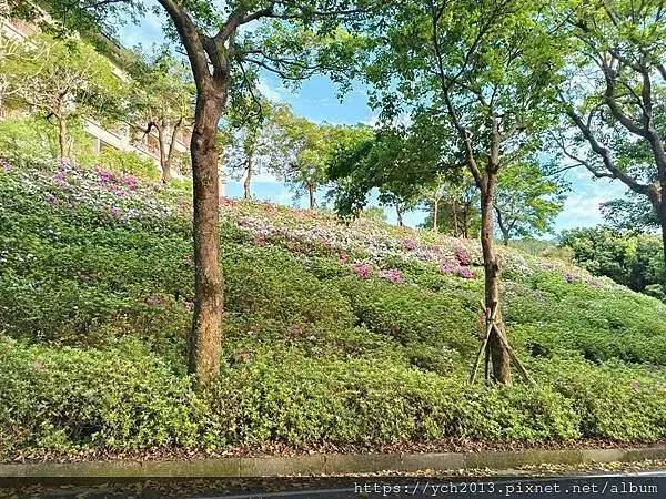 佛光大學看日出