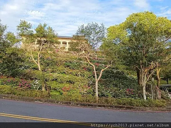 佛光大學看日出