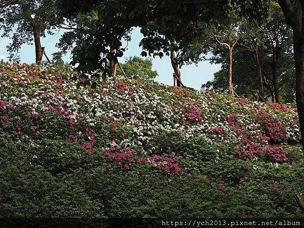 佛光大學看日出