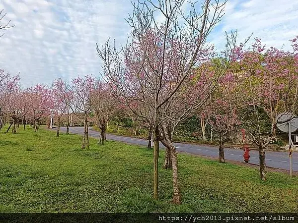 佛光大學看日出