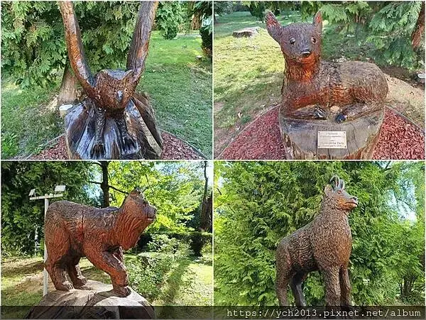 布拉索夫老城區黑教堂與議會廣場Brasov old town