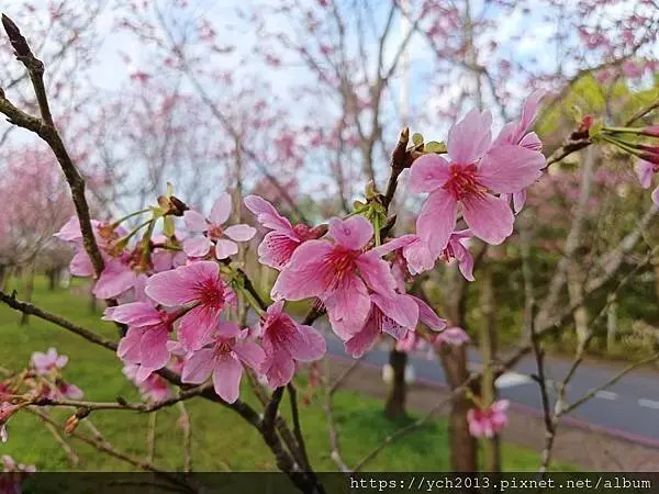 佛光大學看日出