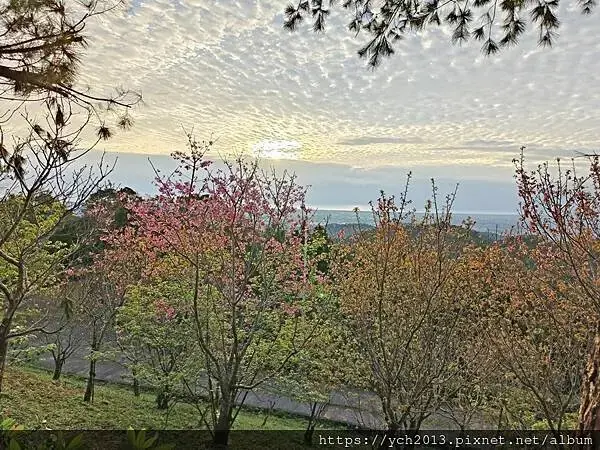 佛光大學看日出