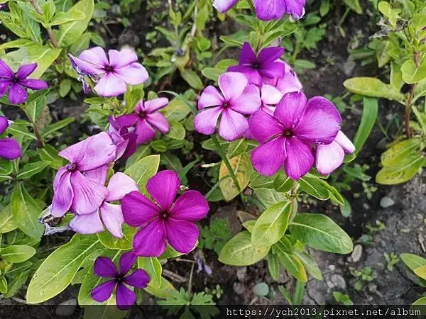 ​Radisson Blu Aurum Hotel前面的公園