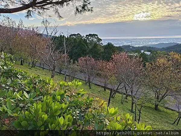 佛光大學看日出
