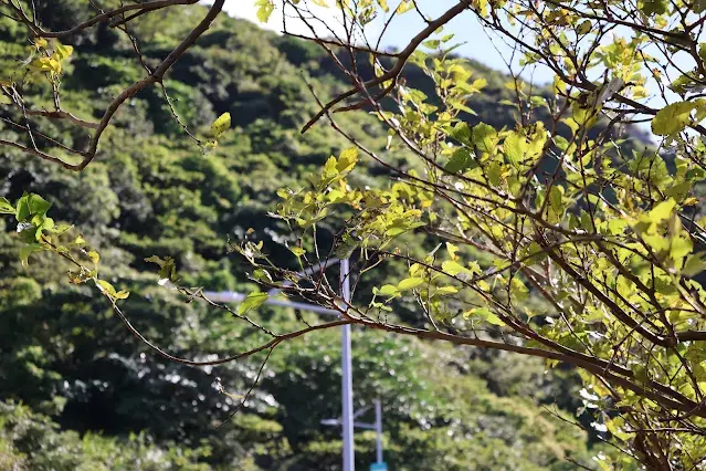 東北角暨宜蘭海岸國家風景區 - 黃金瀑布