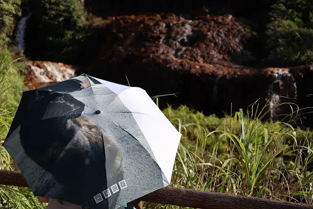 東北角暨宜蘭海岸國家風景區 - 黃金瀑布