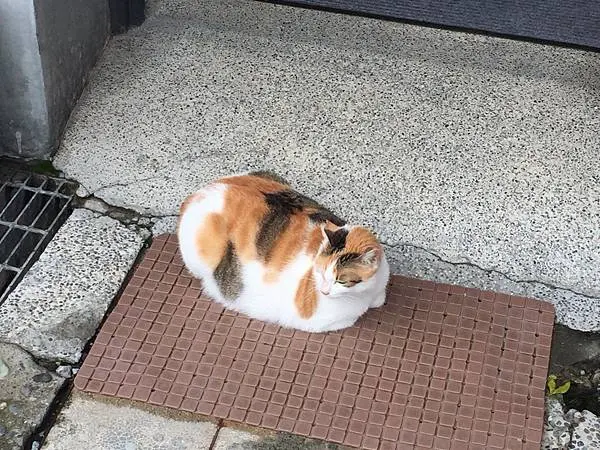 LINE_ALBUM_20211019Day03_211020_94