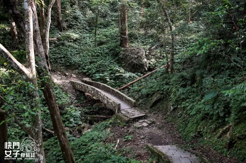 16新北三峽景點滿月圓森林遊樂區步道滿月圓山處女瀑布健行筆記山頂鳥.jpg