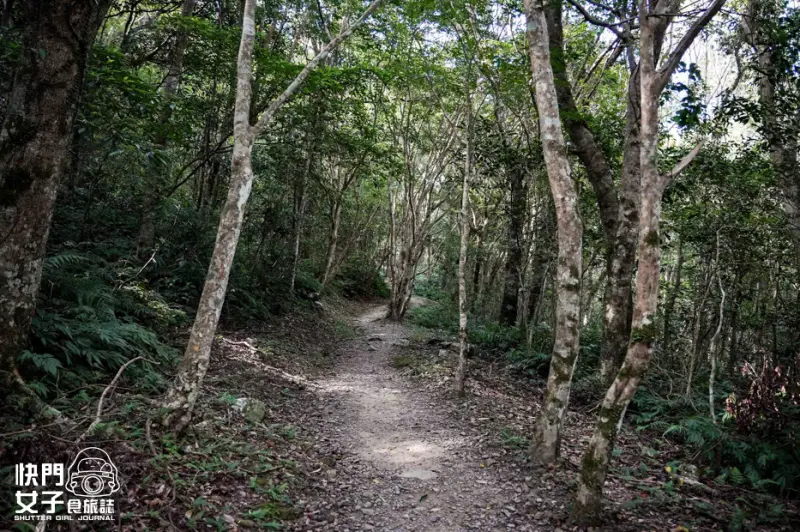 17新北三峽景點滿月圓森林遊樂區步道滿月圓山處女瀑布健行筆記山頂鳥.jpg