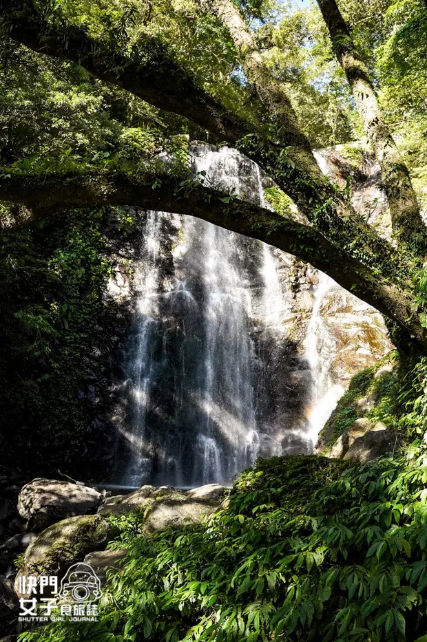 32新北三峽景點滿月圓森林遊樂區步道滿月圓山處女瀑布健行筆記山頂鳥.jpg