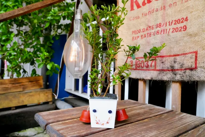 瑞芳黃金山城小旅行｜礦工的腳印 × 瑞芳老街DIY × 猴硐