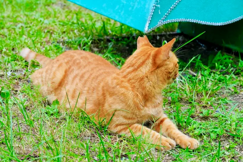 瑞芳黃金山城小旅行｜礦工的腳印 × 瑞芳老街DIY × 猴硐