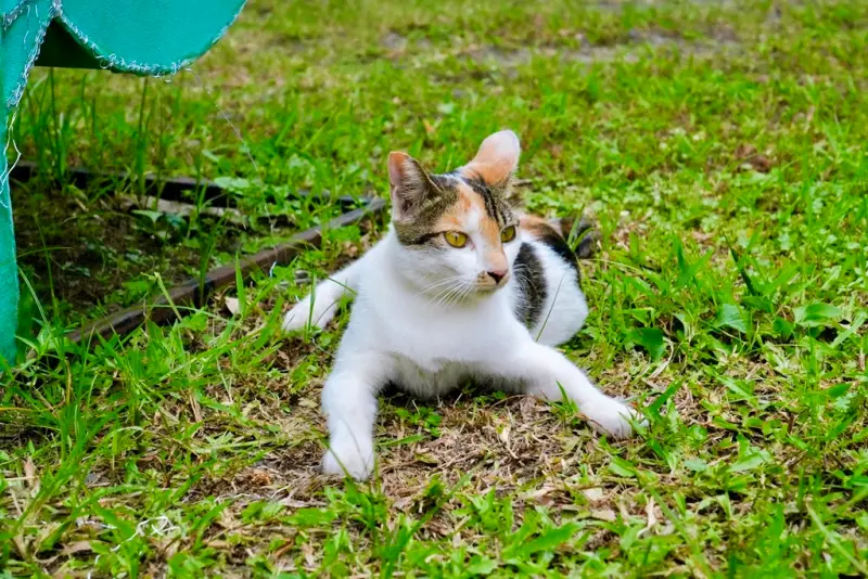 瑞芳黃金山城小旅行｜礦工的腳印 × 瑞芳老街DIY × 猴硐