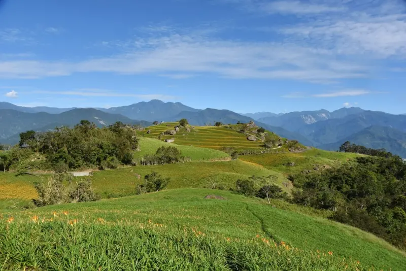 花蓮富里鄉2天1夜｜六十石山金針花季 里山-竹香物語體驗 稻