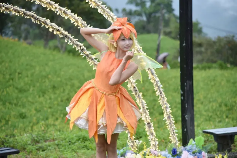 花蓮富里鄉2天1夜｜六十石山金針花季 里山-竹香物語體驗 稻