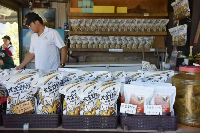 花蓮富里鄉2天1夜｜六十石山金針花季 里山-竹香物語體驗 稻