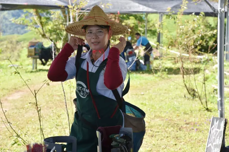 花蓮富里鄉2天1夜｜六十石山金針花季 里山-竹香物語體驗 稻