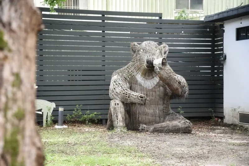花蓮富里鄉｜馥茶堂