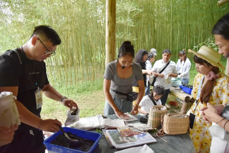 花蓮富里鄉2天1夜｜六十石山金針花季 里山-竹香物語體驗 稻