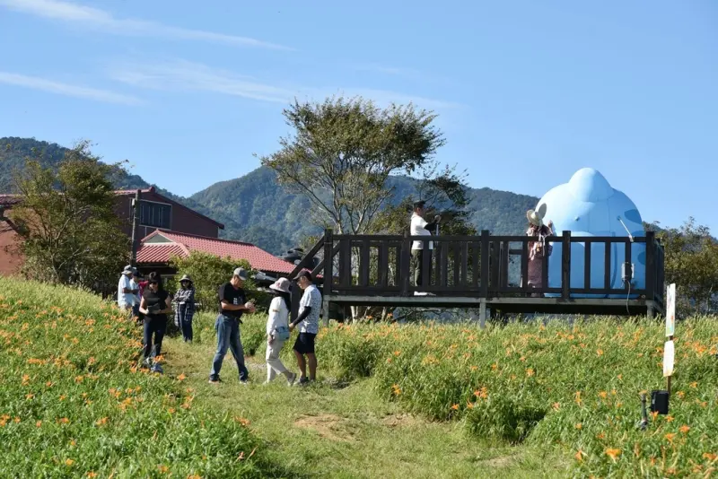 花蓮富里鄉2天1夜｜六十石山金針花季 里山-竹香物語體驗 稻