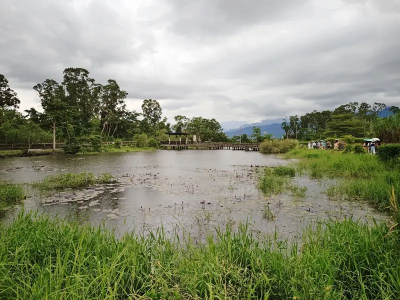 花蓮富里鄉2天1夜｜六十石山金針花季 里山-竹香物語體驗 稻