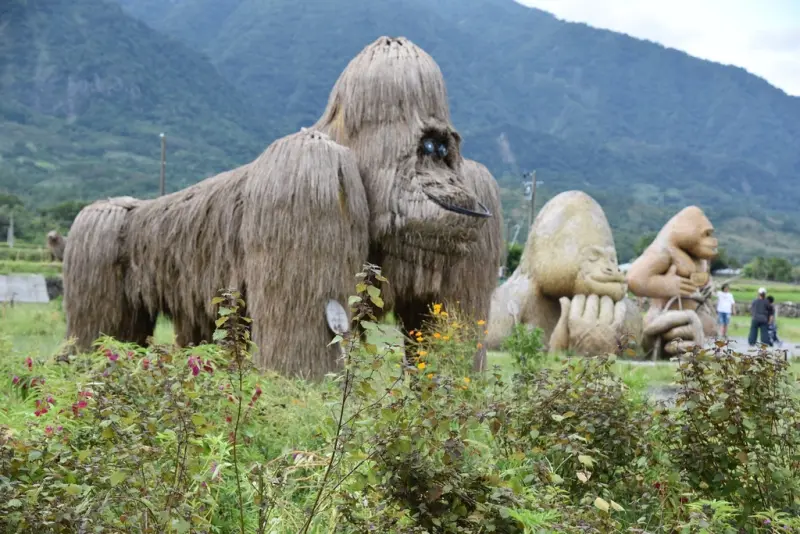花蓮富里鄉2天1夜｜六十石山金針花季 里山-竹香物語體驗 稻