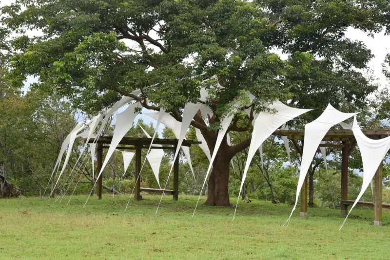 花蓮富里鄉2天1夜｜六十石山金針花季 里山-竹香物語體驗 稻
