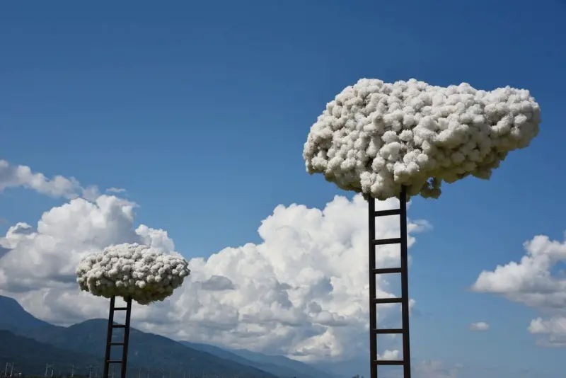 花蓮富里鄉2天1夜｜六十石山金針花季 里山-竹香物語體驗 稻