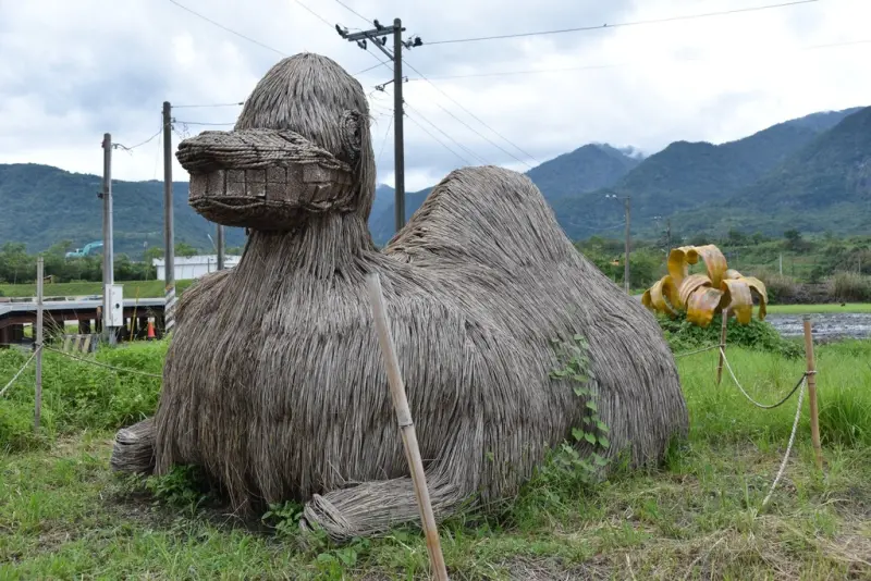 花蓮富里鄉2天1夜｜六十石山金針花季 里山-竹香物語體驗 稻