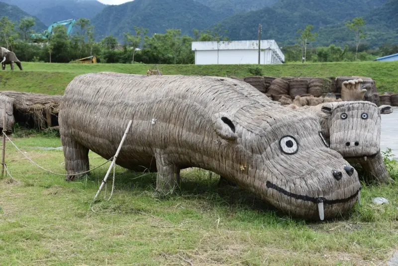 花蓮富里鄉2天1夜｜六十石山金針花季 里山-竹香物語體驗 稻