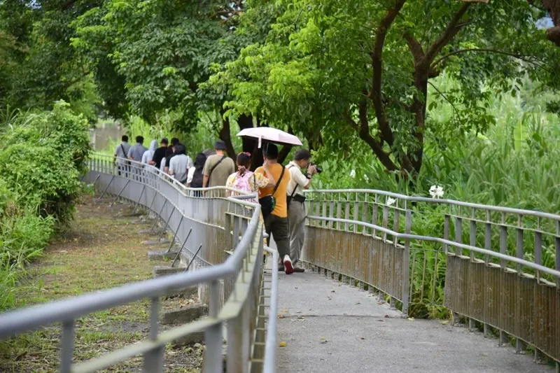花蓮富里鄉2天1夜｜六十石山金針花季 里山-竹香物語體驗 稻