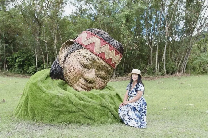 花蓮富里鄉2天1夜｜六十石山金針花季 里山-竹香物語體驗 稻