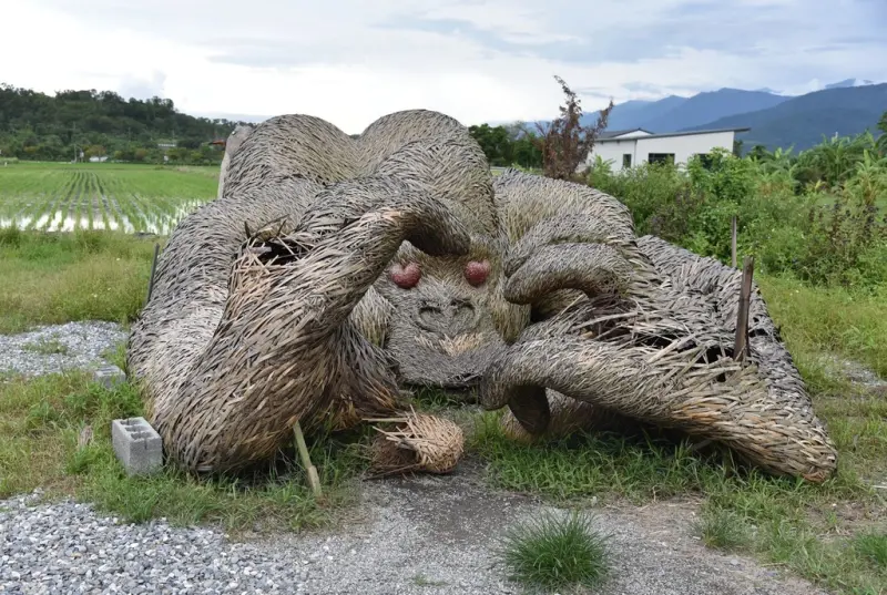 花蓮富里鄉2天1夜｜六十石山金針花季 里山-竹香物語體驗 稻