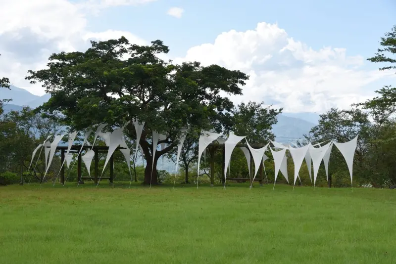 花蓮富里鄉2天1夜｜六十石山金針花季 里山-竹香物語體驗 稻