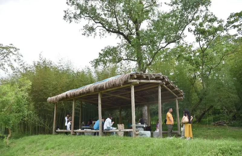 花蓮富里鄉2天1夜｜六十石山金針花季 里山-竹香物語體驗 稻