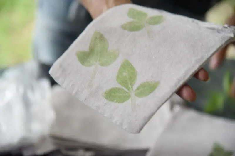 花蓮富里鄉2天1夜｜六十石山金針花季 里山-竹香物語體驗 稻