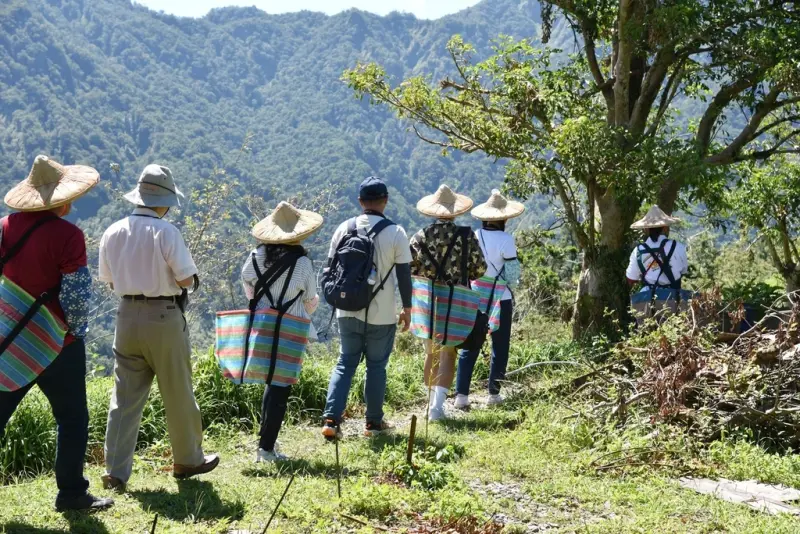 花蓮富里鄉2天1夜｜六十石山金針花季 里山-竹香物語體驗 稻