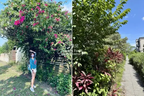 懶人健行～林口新寮休閒步道｜全齡步道，老少咸宜，輕鬆挑戰 - 魚兒 x 牽手明太子的「視」界旅行
