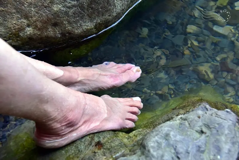 【猴洞坑瀑布】上層水潭