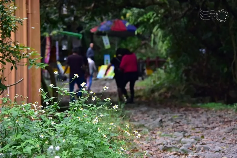 【猴洞坑瀑布】入口