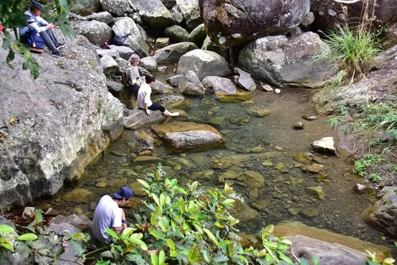 【猴洞坑瀑布】上層水潭