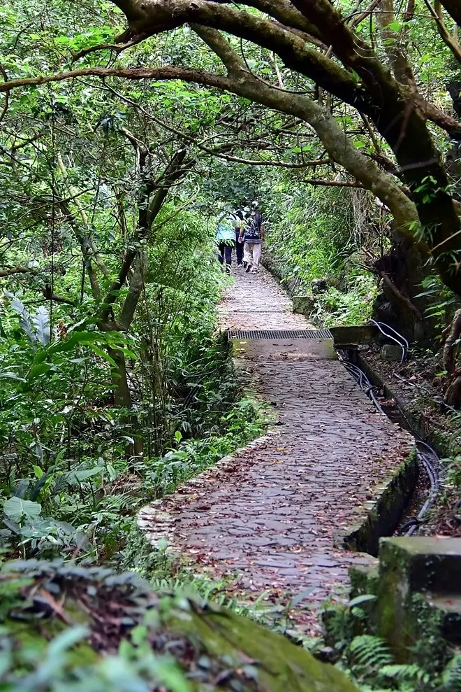 【猴洞坑瀑布】步道