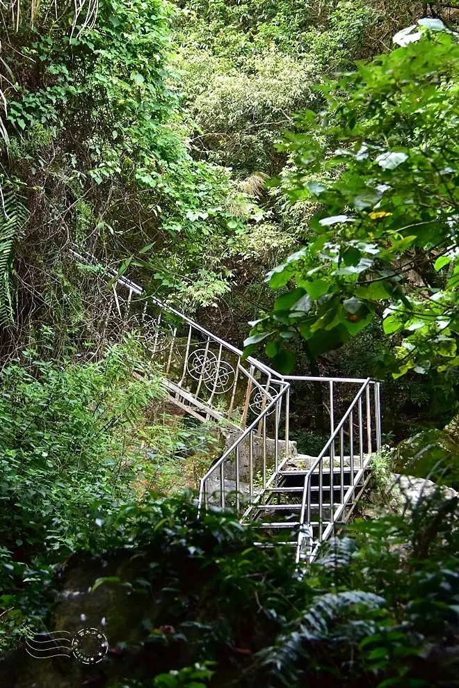 【猴洞坑瀑布】鐵梯