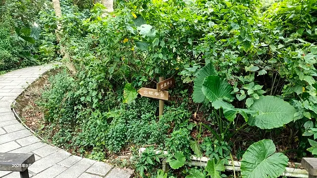 2025台北療癒步道⇨劍潭山親山步道⇨森林方舟(觀音山觀景平