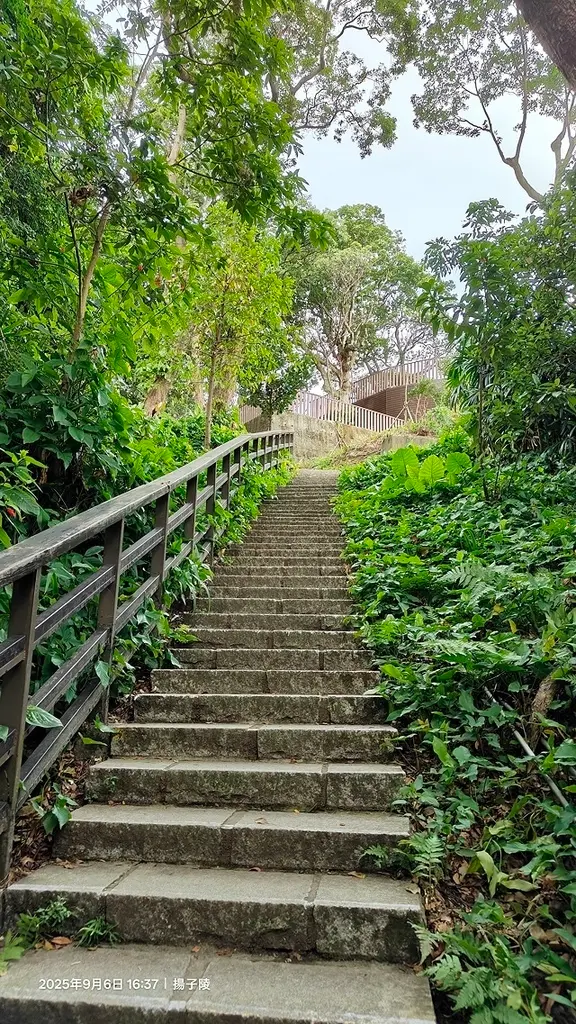 2025台北療癒步道⇨劍潭山親山步道⇨森林方舟(觀音山觀景平