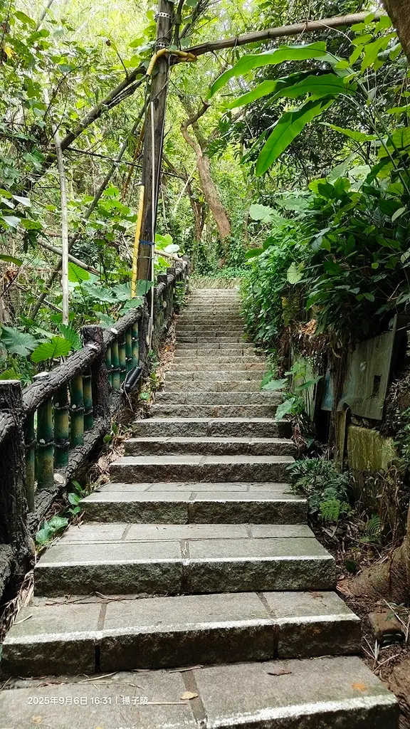 2025台北療癒步道⇨劍潭山親山步道⇨森林方舟(觀音山觀景平