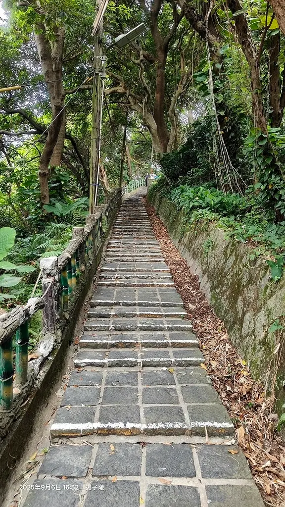 2025台北療癒步道⇨劍潭山親山步道⇨森林方舟(觀音山觀景平